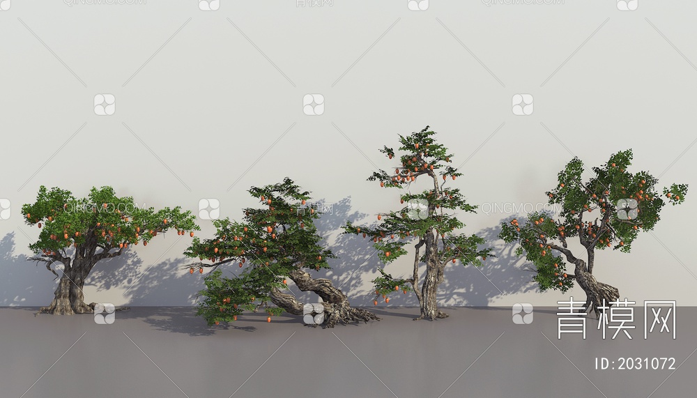 树 景观树 金子弹树3D模型下载【ID:2031072】