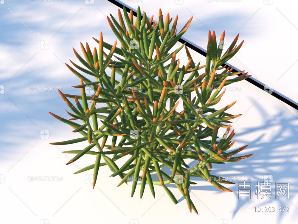 姬吹雪 植物 灌木3D模型下载【ID:2031472】