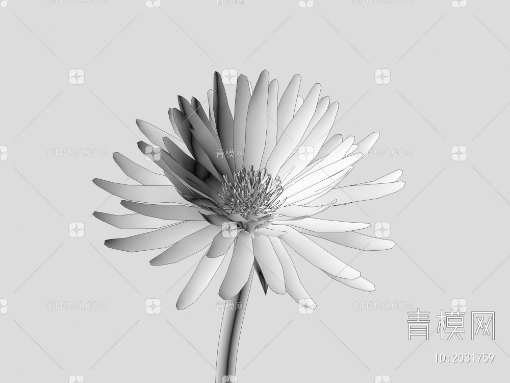 花 野花 绿植 花朵3D模型下载【ID:2031759】