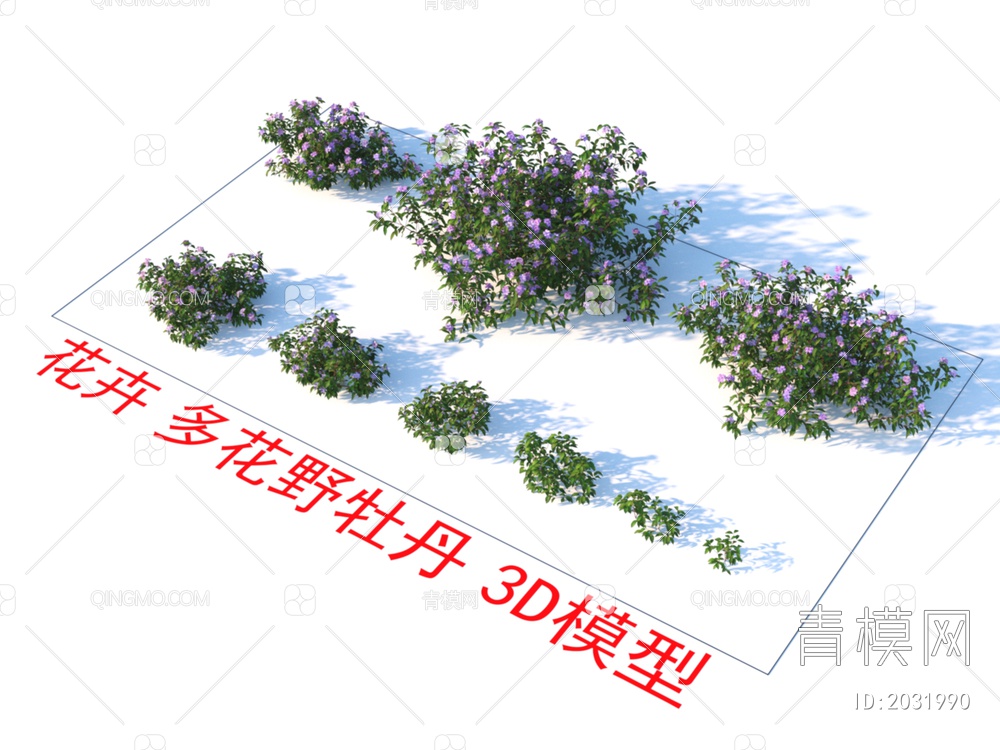 花卉 多花野牡丹 植物 灌木3D模型下载【ID:2031990】