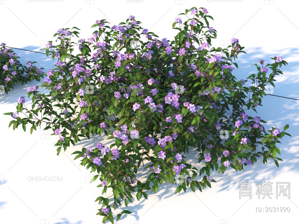 花卉 多花野牡丹 植物 灌木3D模型下载【ID:2031990】