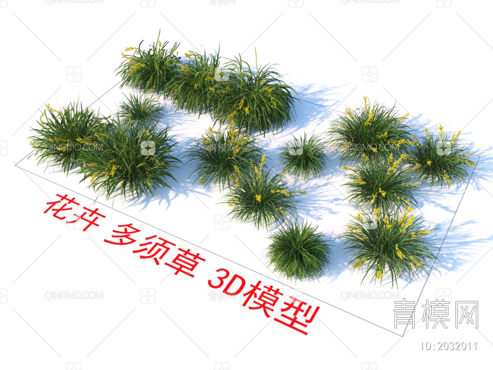 花卉  多须草 植物 灌木3D模型下载【ID:2032011】