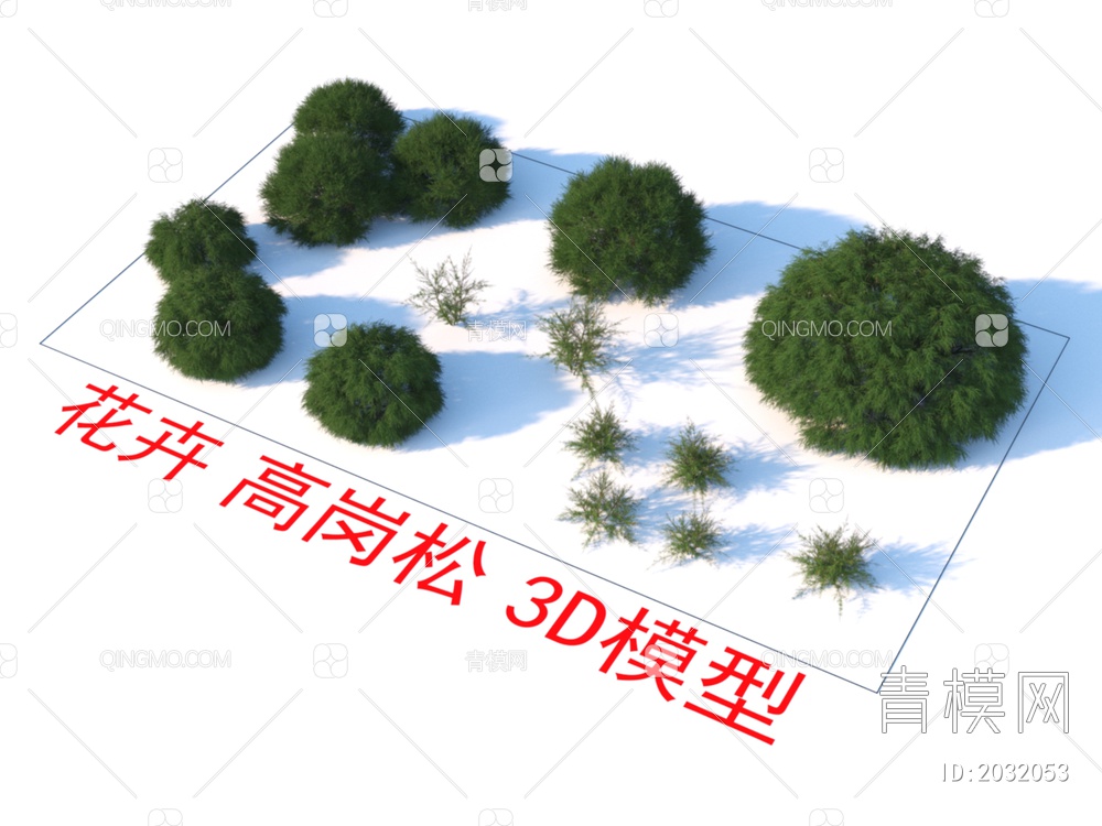 花卉  高岗松 植物 灌木3D模型下载【ID:2032053】