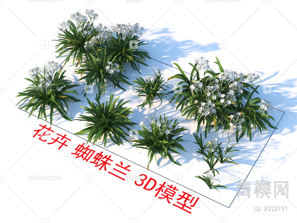 花卉 蜘蛛兰 植物 灌木3D模型下载【ID:2032191】