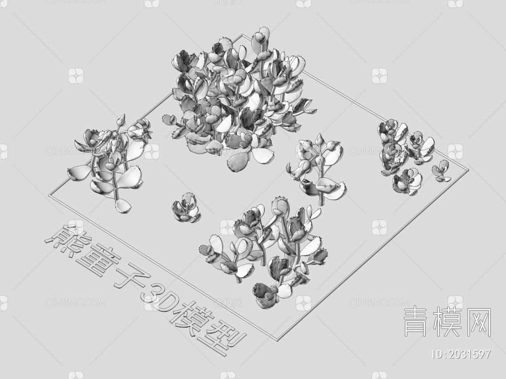 熊童子 植物 灌木3D模型下载【ID:2031597】