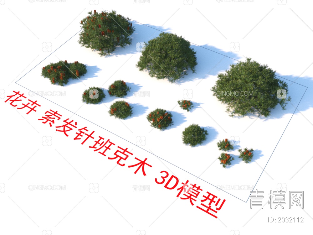 花卉  索发针班克木  植物 灌木3D模型下载【ID:2032112】