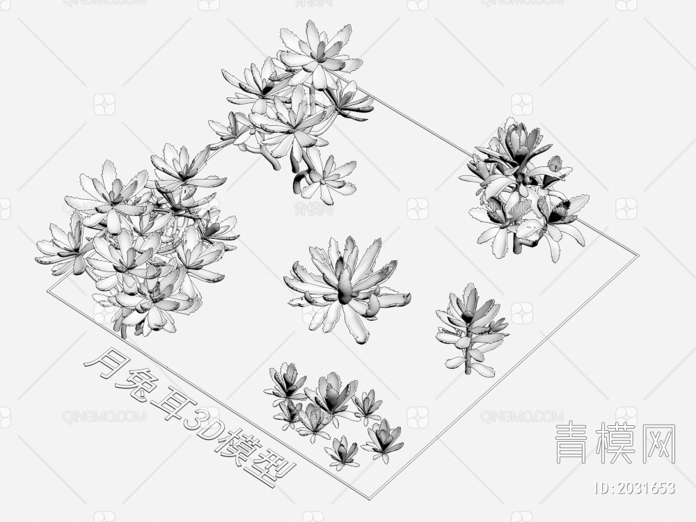 月兔耳 植物 灌木3D模型下载【ID:2031653】