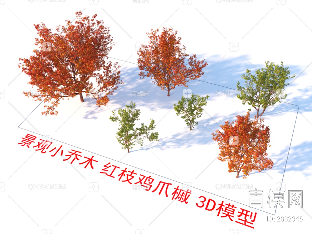 景观小乔木 红枝鸡爪槭 植物3D模型下载【ID:2032345】