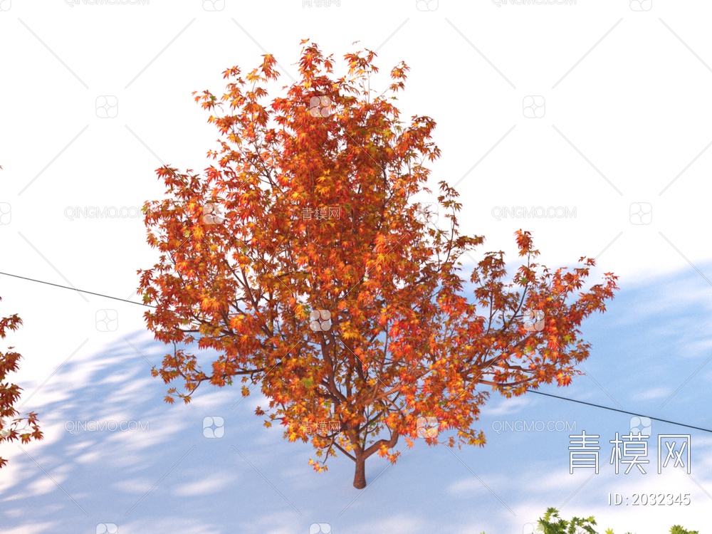 景观小乔木 红枝鸡爪槭 植物3D模型下载【ID:2032345】