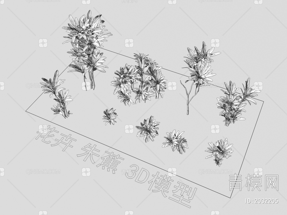 花卉 朱蕉 植物 灌木3D模型下载【ID:2032205】