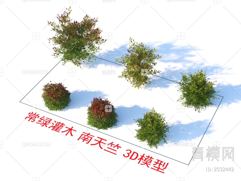 常绿灌木 南天竺 植物3D模型下载【ID:2032442】