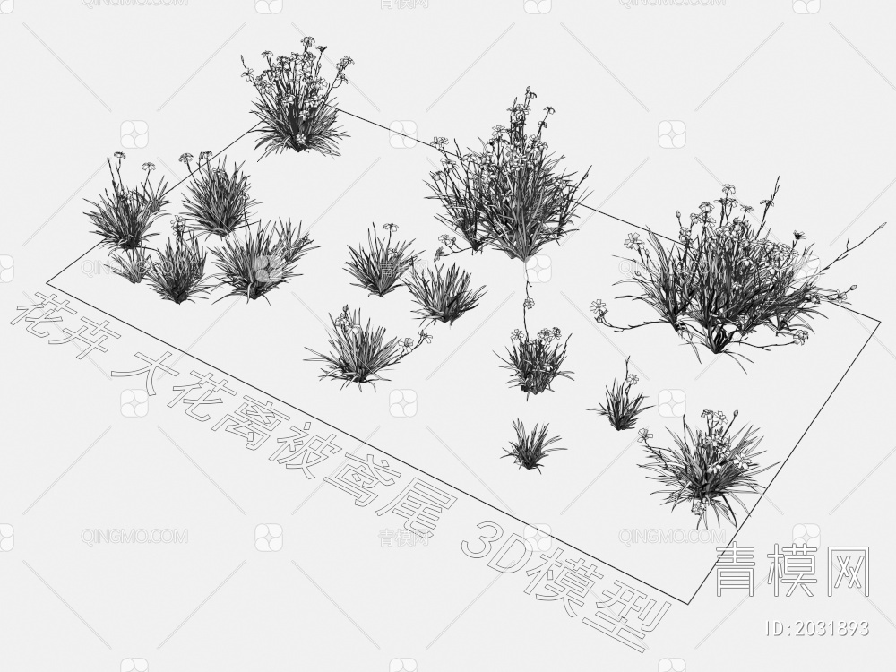 花卉 大花离被鸢尾 植物 灌木3D模型下载【ID:2031893】