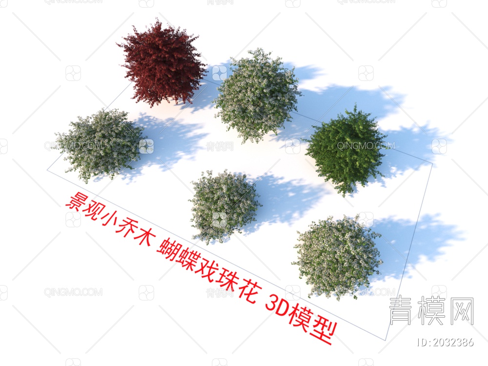 景观小乔木 蝴蝶戏珠花 植物3D模型下载【ID:2032386】