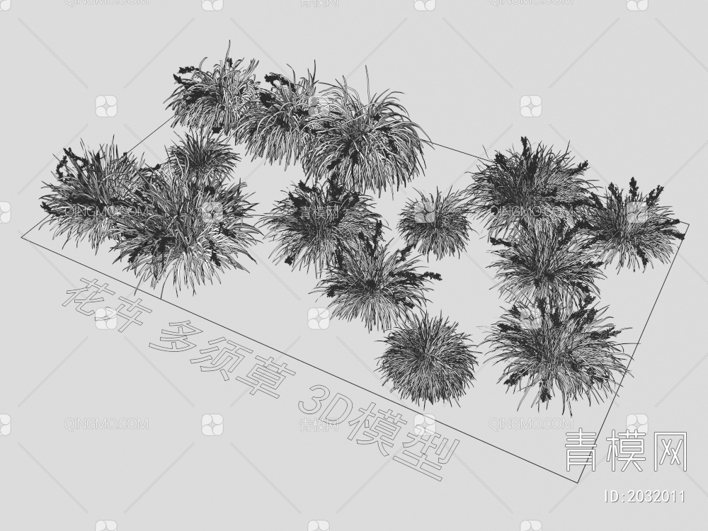 花卉  多须草 植物 灌木3D模型下载【ID:2032011】