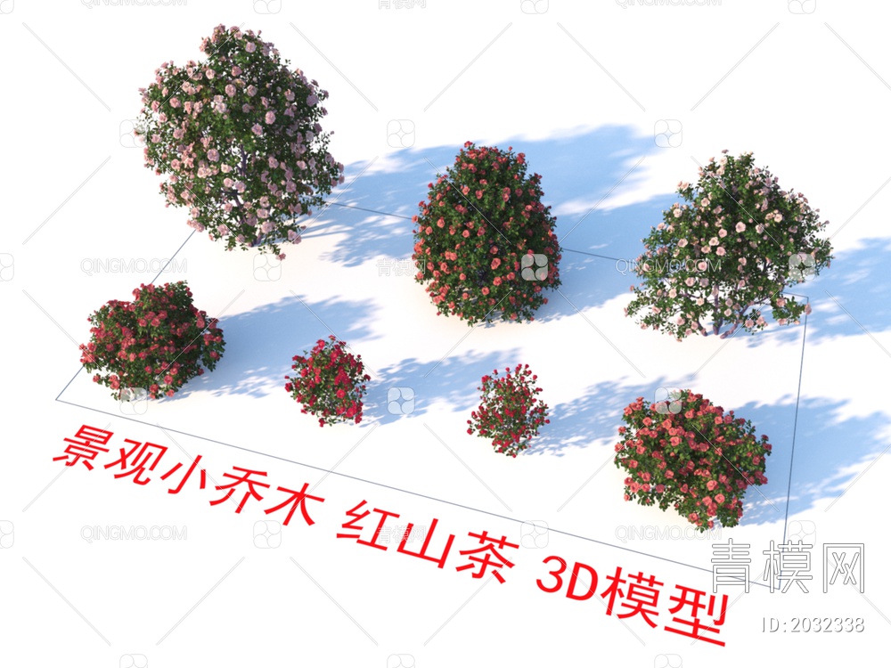 景观小乔木 红山茶 植物3D模型下载【ID:2032338】