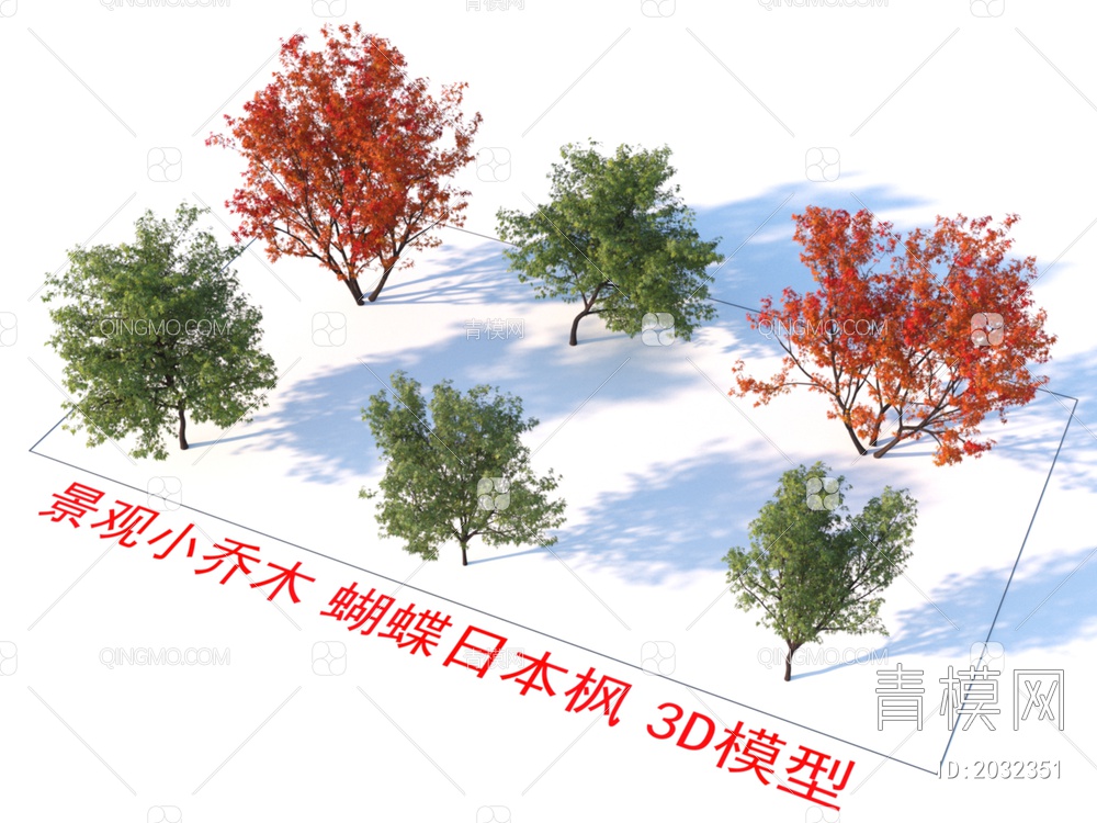 景观小乔木 蝴蝶日本枫 植物3D模型下载【ID:2032351】