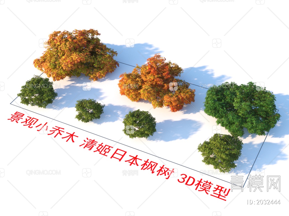 景观小乔木 清姬日本枫树 植物3D模型下载【ID:2032444】