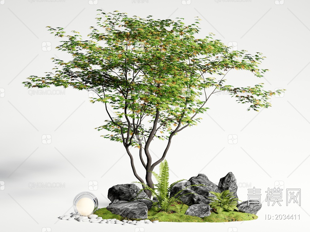 红枫 景观树 庭院乔木 鸡爪槭 石头3D模型下载【ID:2034411】
