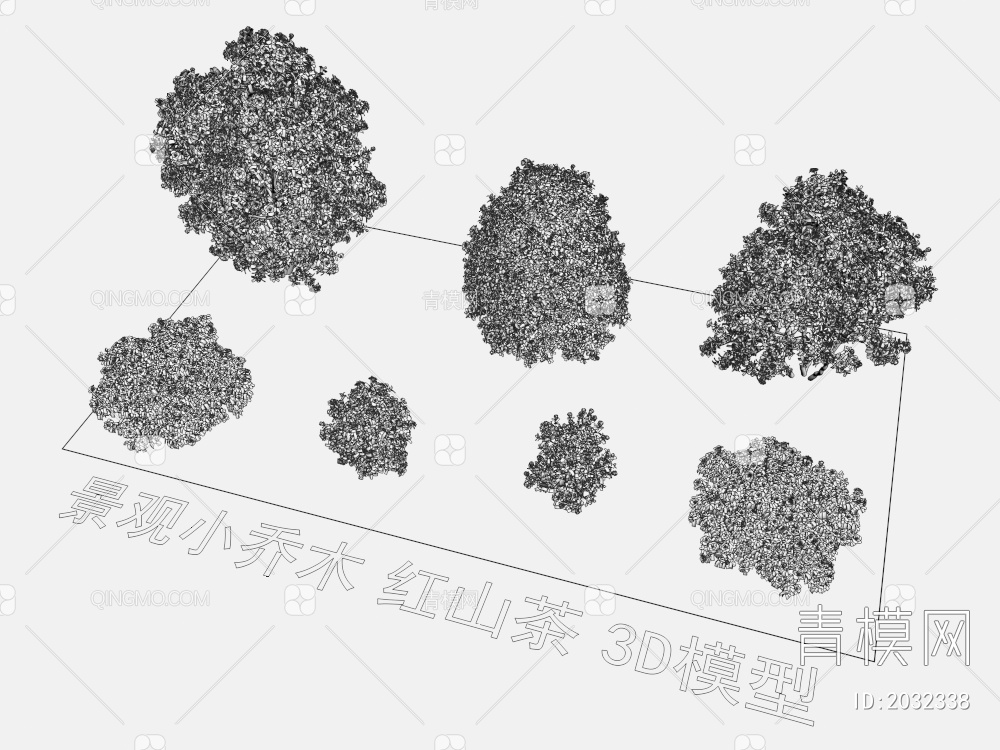 景观小乔木 红山茶 植物3D模型下载【ID:2032338】