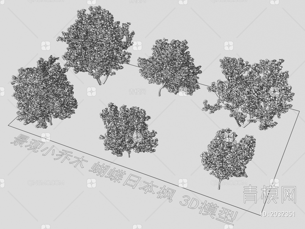 景观小乔木 蝴蝶日本枫 植物3D模型下载【ID:2032351】