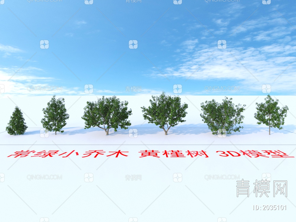 常绿小乔木 黄槿树 植物3D模型下载【ID:2035101】