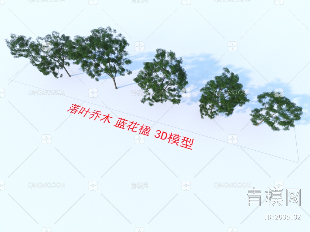 落叶乔木 蓝花楹树 植物3D模型下载【ID:2035132】
