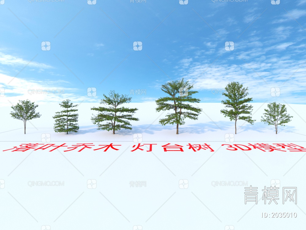 落叶乔木 灯台树 植物3D模型下载【ID:2035010】