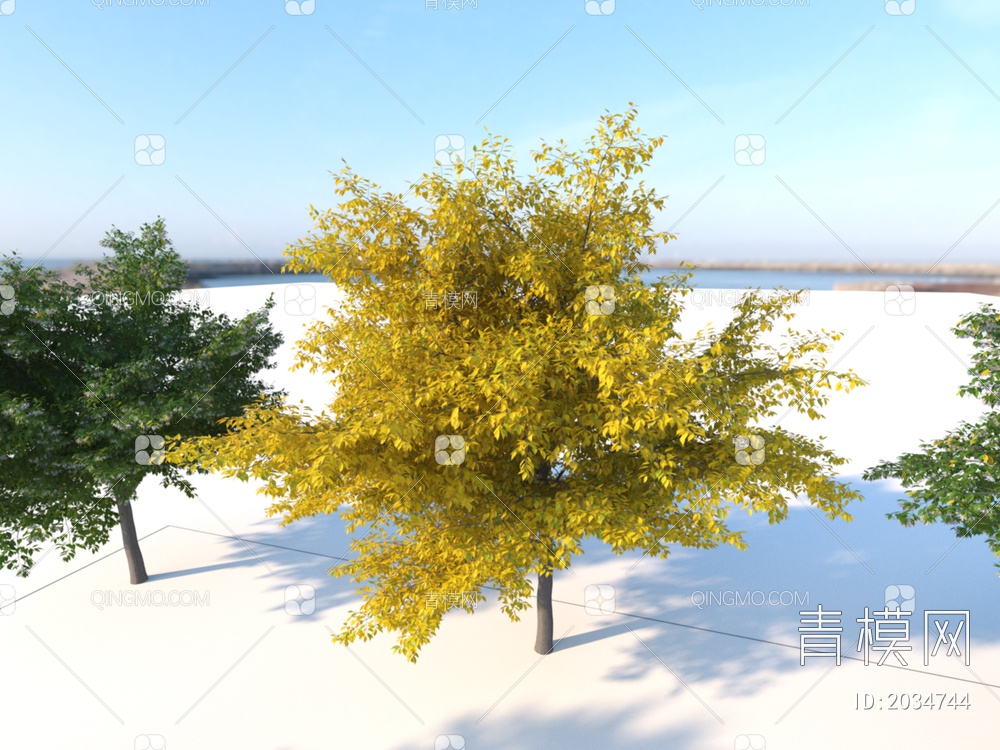景观小乔木 野茉莉树 植物3D模型下载【ID:2034744】