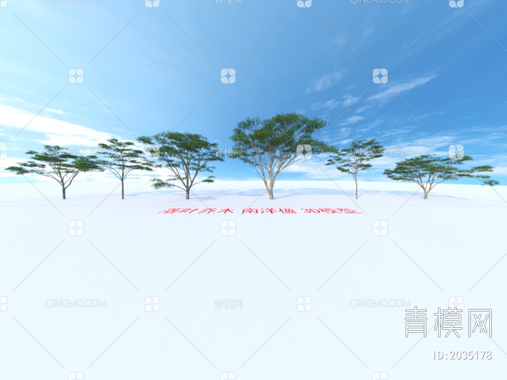 落叶乔木 南洋楹 植物3D模型下载【ID:2035178】