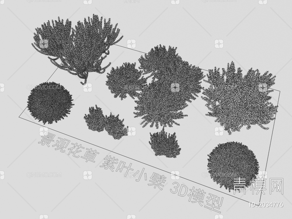 景观花草 紫叶小檗 植物3D模型下载【ID:2034776】