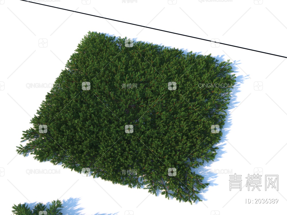 灌木花草 铺地柏 植物3D模型下载【ID:2036389】
