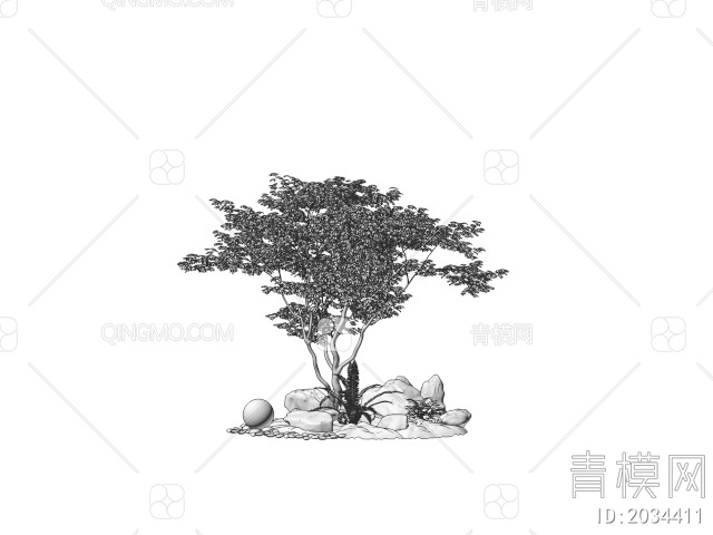 红枫 景观树 庭院乔木 鸡爪槭 石头3D模型下载【ID:2034411】
