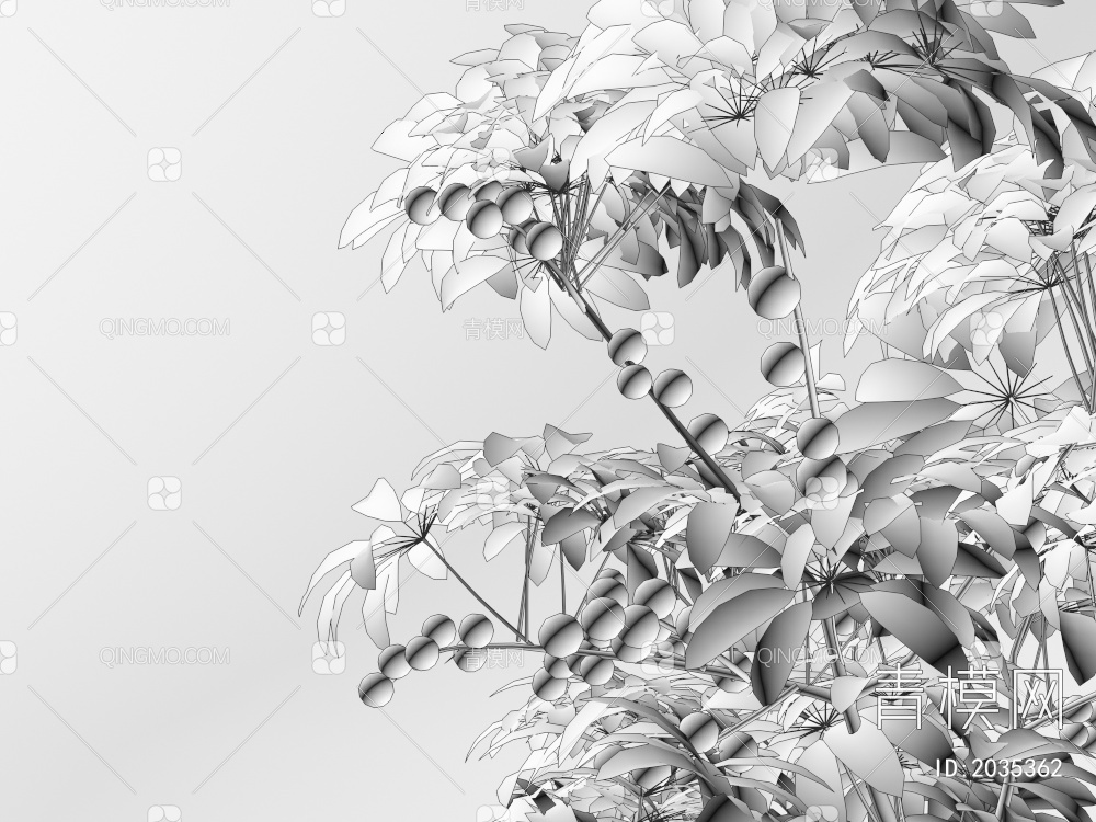 龙眼果 龙眼树植物3D模型下载【ID:2035362】