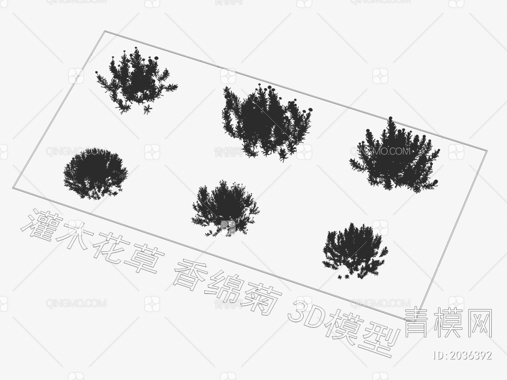 灌木花草 香绵菊 植物3D模型下载【ID:2036392】