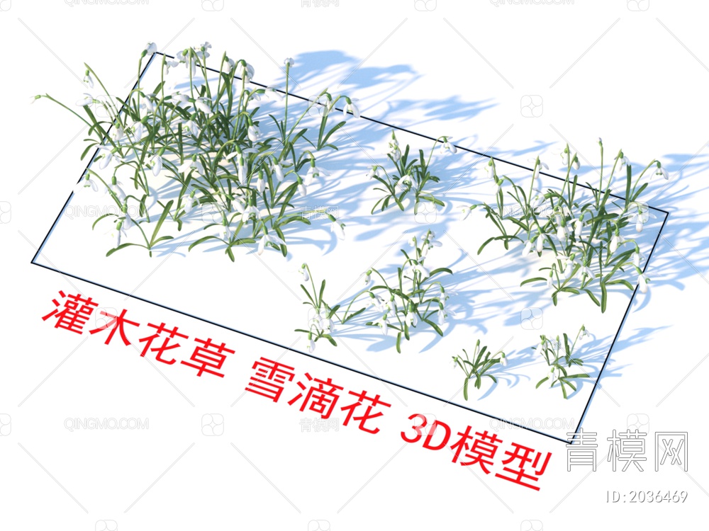 灌木花草 雪滴花 植物3D模型下载【ID:2036469】