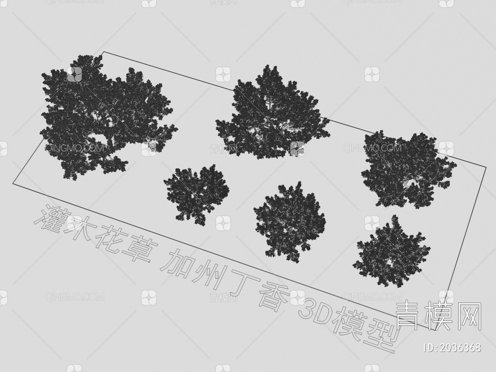 灌木花草 加州丁香 植物3D模型下载【ID:2036368】