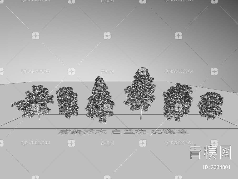 常绿乔木 白兰花 植物3D模型下载【ID:2034801】