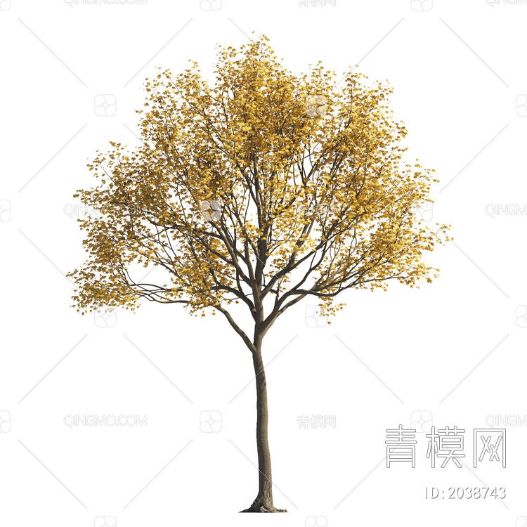 秋冬树 彩色树 黄叶树 景观树 庭院树 造型树 景观植物 落叶树 大树3D模型下载【ID:2038743】