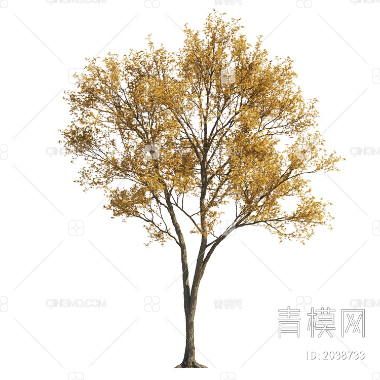 彩色树 黄叶树 秋天树 景观树 行道树 庭院树 乔木 园林树 植物 大树3D模型下载【ID:2038733】