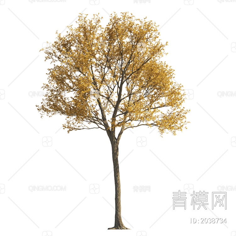 乔木 植物 树 彩色树 黄叶树 秋天树 景观树 行道树 庭院树 园林树 大树3D模型下载【ID:2038734】