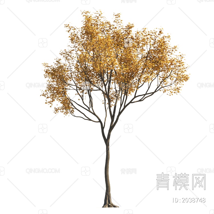 景观植物 乔木 落叶树 秋天树 彩色树 黄叶树 景观树 造型树 大树 植物3D模型下载【ID:2038748】