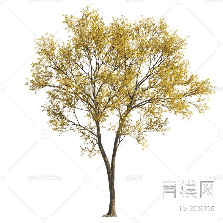 乔木 黄叶树 彩色树 植物 景观树 庭院树 大树 秋天树3D模型下载【ID:2038735】