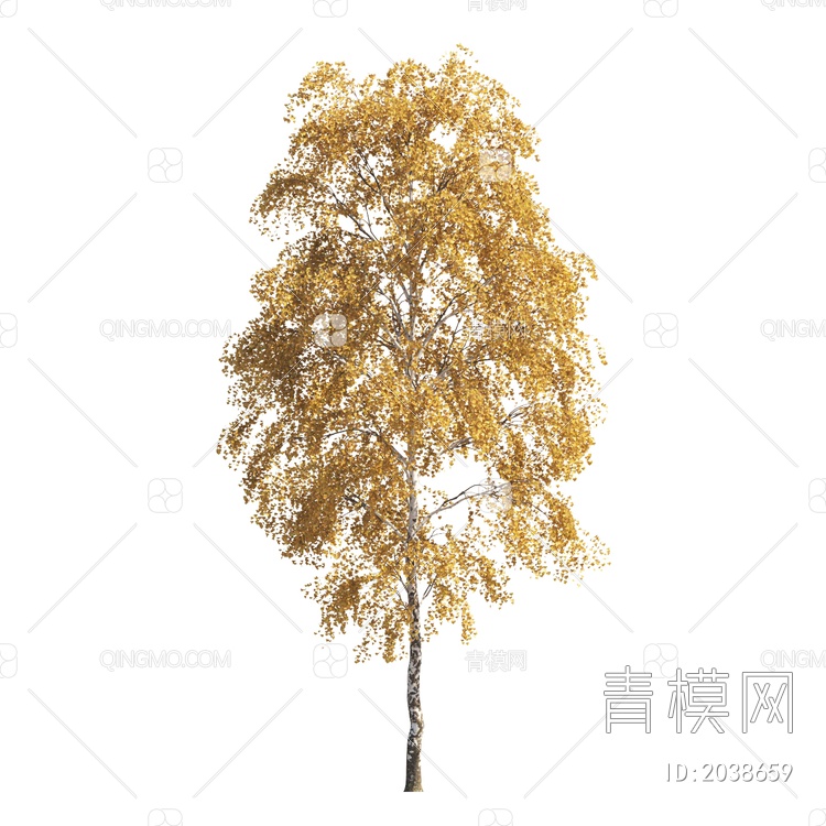 景观植物 乔木 落叶树 秋天树 彩色树 黄叶树 景观树 造型树 大树3D模型下载【ID:2038659】