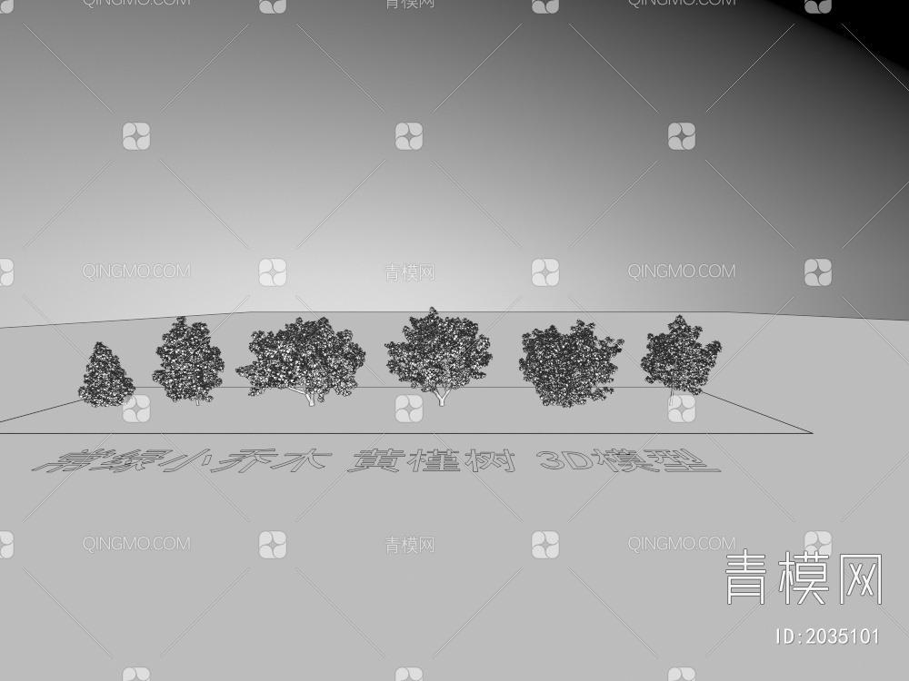 常绿小乔木 黄槿树 植物3D模型下载【ID:2035101】
