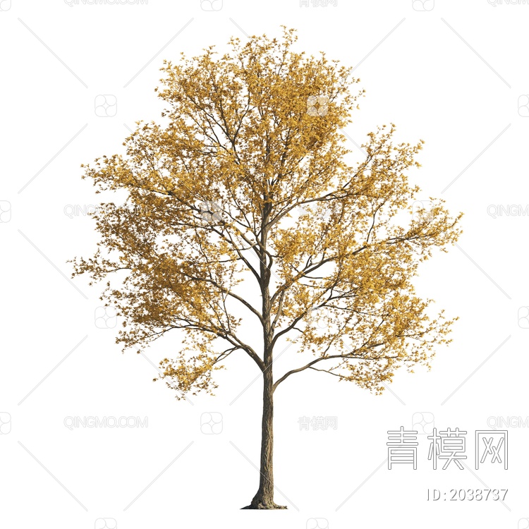 景观植物 乔木 落叶树 秋天树 彩色树 黄叶树 景观树 造型树 大树 植物3D模型下载【ID:2038737】