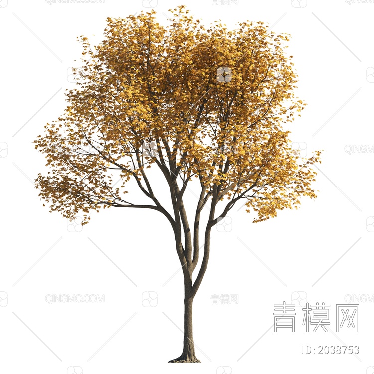 秋冬树 彩色树 黄叶树 景观树 庭院树 造型树 景观植物 落叶树 大树3D模型下载【ID:2038753】