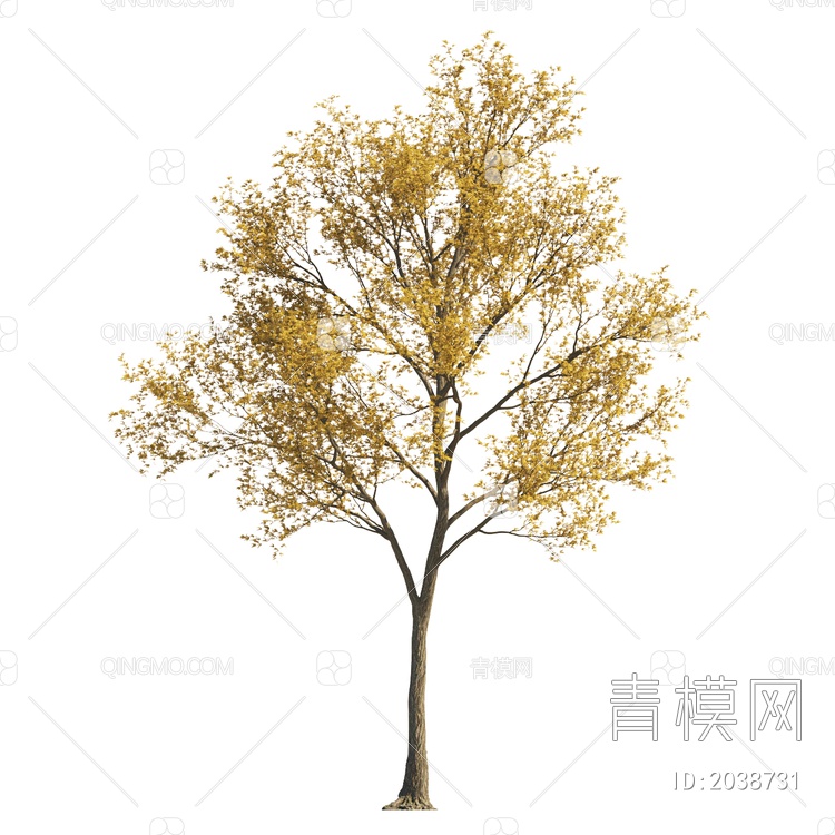 秋冬树 彩色树 黄叶树 景观树 庭院树 造型树 景观植物 落叶树 大树3D模型下载【ID:2038731】