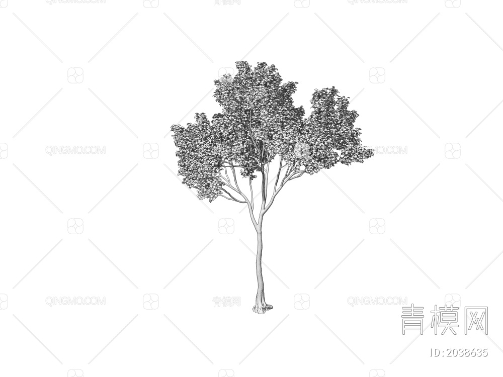 乔木 常绿树 大树 庭院树 稀疏树 景观树 行道树 灌木 绿植 植物3D模型下载【ID:2038635】