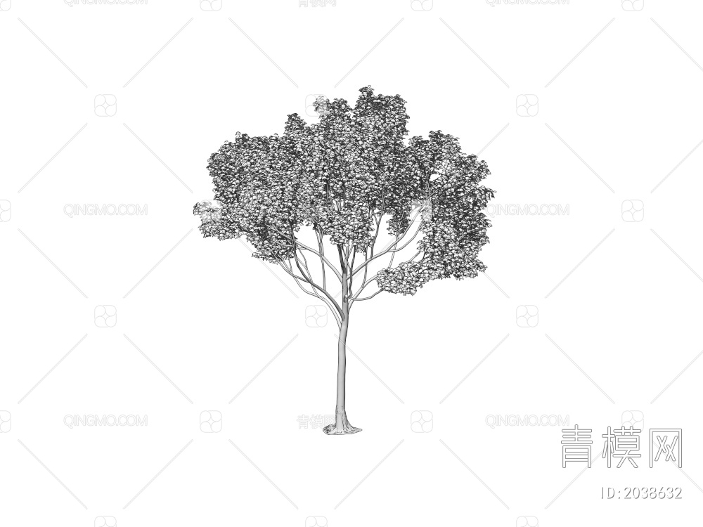 常绿树 大树 庭院树 稀疏树 景观树 行道树 灌木 绿植 植物 乔木3D模型下载【ID:2038632】