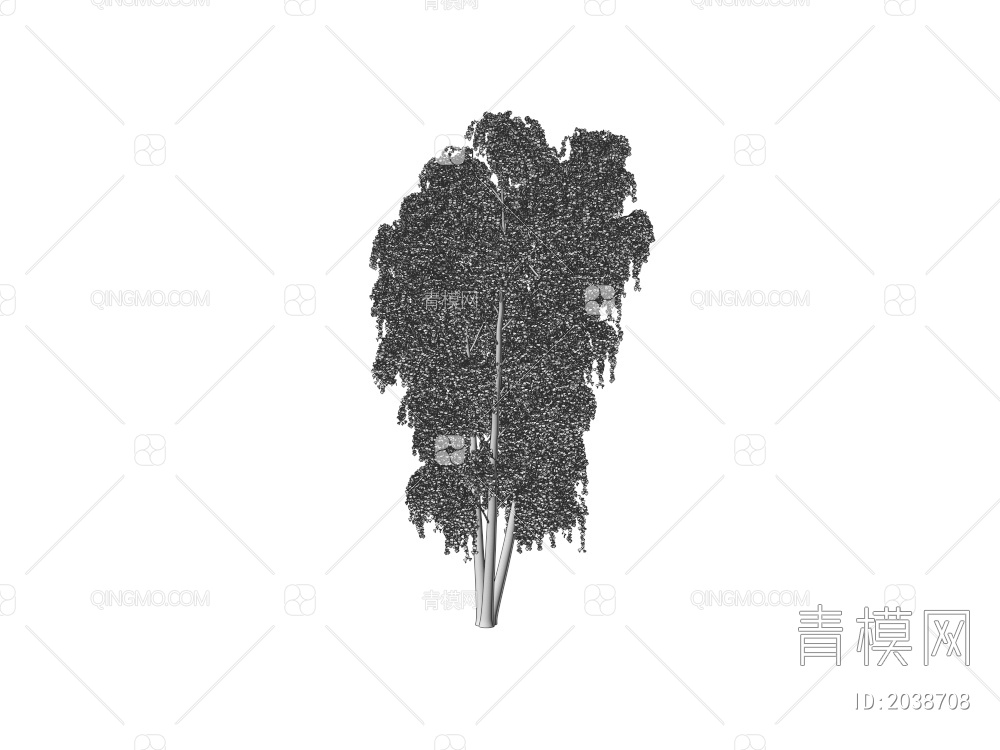 常绿树 大树 庭院树 稀疏树 景观树 行道树 灌木 绿植 植物 乔木3D模型下载【ID:2038708】